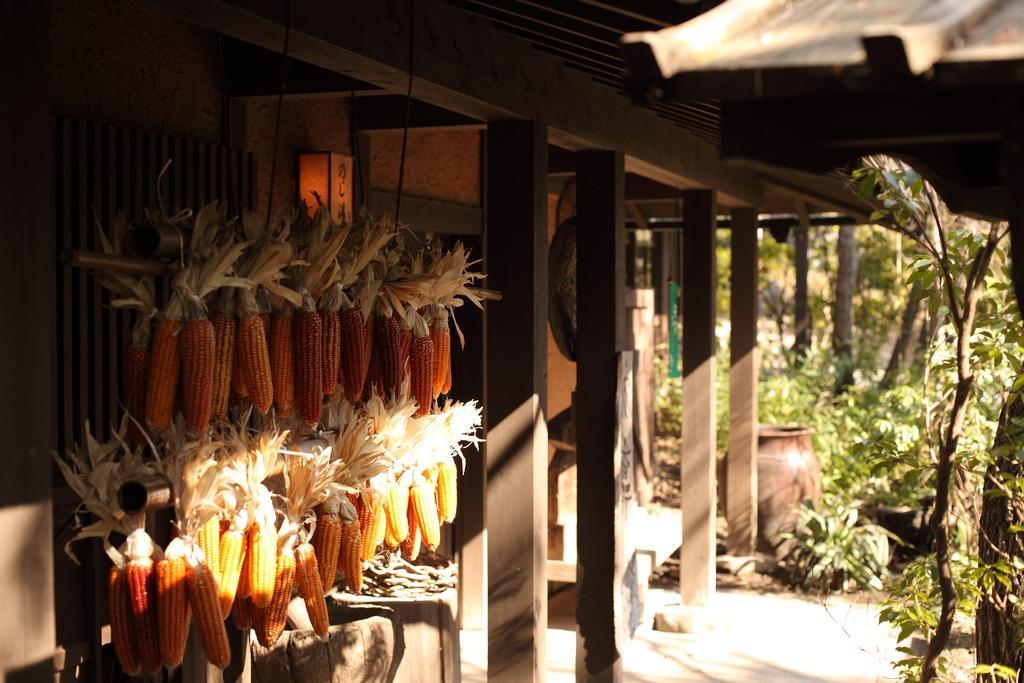 Kurokawa Onsen Oyado Noshiyu Hotel Minamioguni Eksteriør billede