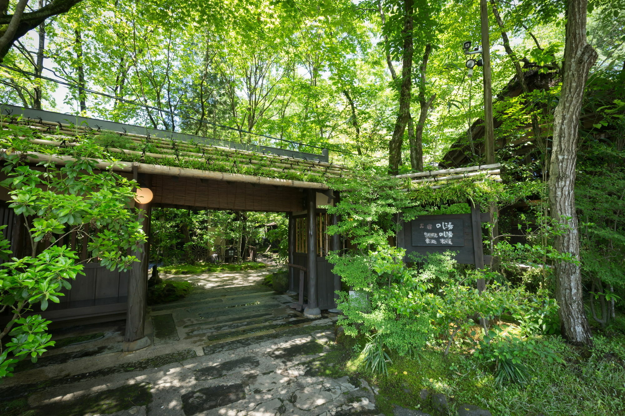 Kurokawa Onsen Oyado Noshiyu Hotel Minamioguni Eksteriør billede